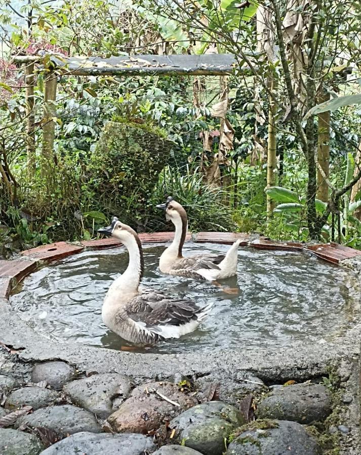 Hostal Campestre El Santuario Filandia Luaran gambar